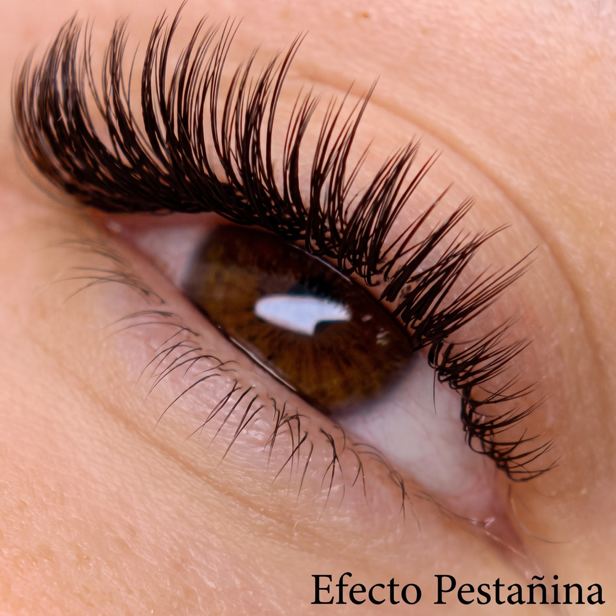 Extensiones de Pestañas